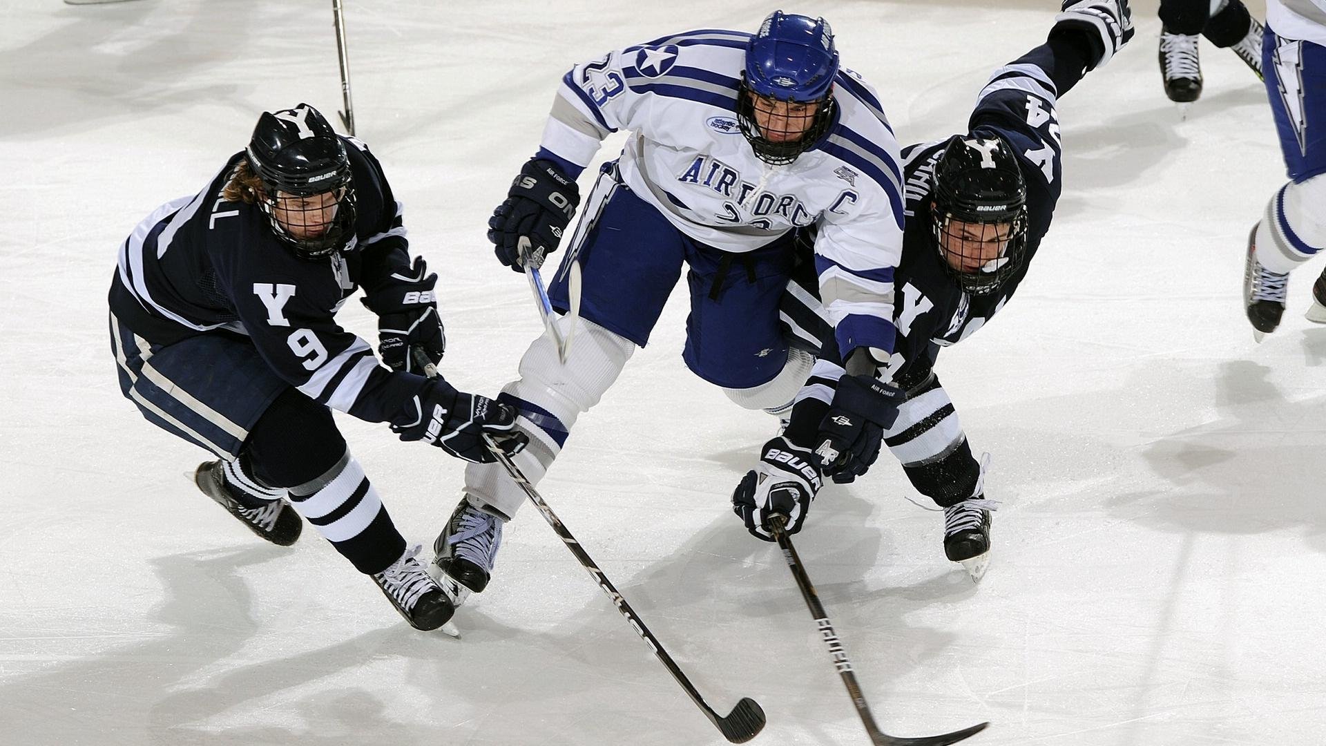 美国马术协会与国际马术联合会合作，举办国际马术交流活动，促进技术交流。