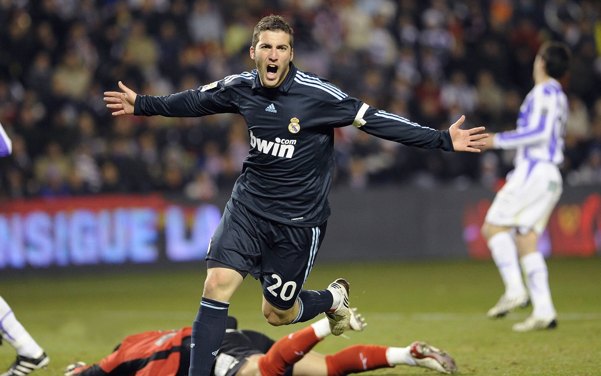 _未来体育馆国际巡展：科技打造极致体验_，未来的体育馆图片